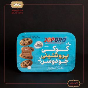کوکی پروتئینی جو دوسر